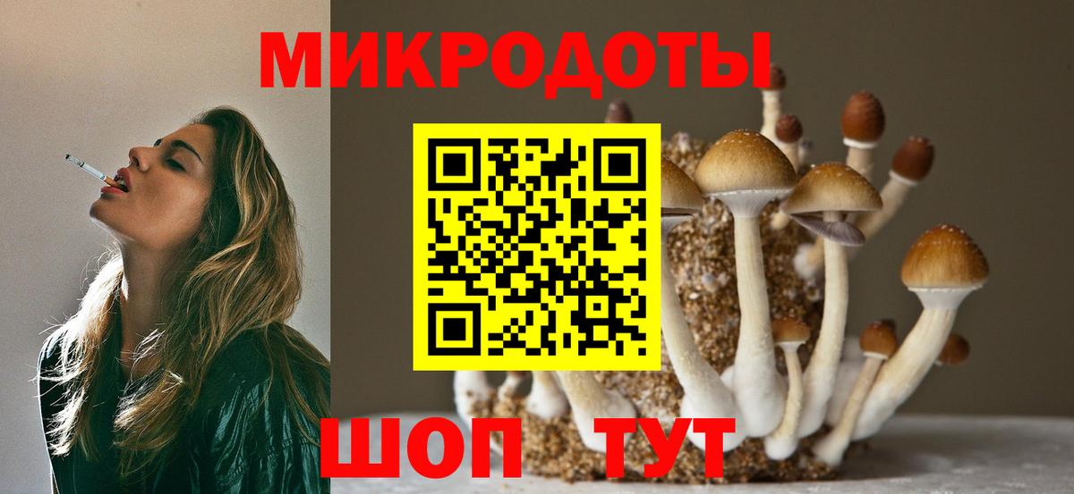 Псилоцибиновые грибы Psilocybe Губкин